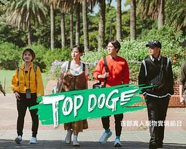 撸先生AV《TOP DOG》免费在线观看