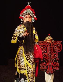 撸撸视频《袁崇焕2009》免费在线观看