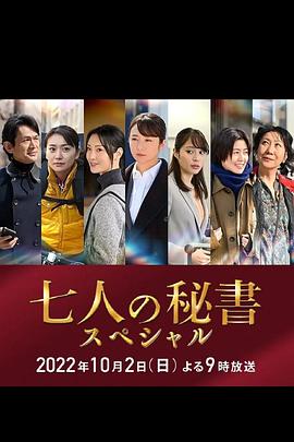 撸先生AV《七个秘书 特别篇 七人の秘書スペシャル》免费在线观看