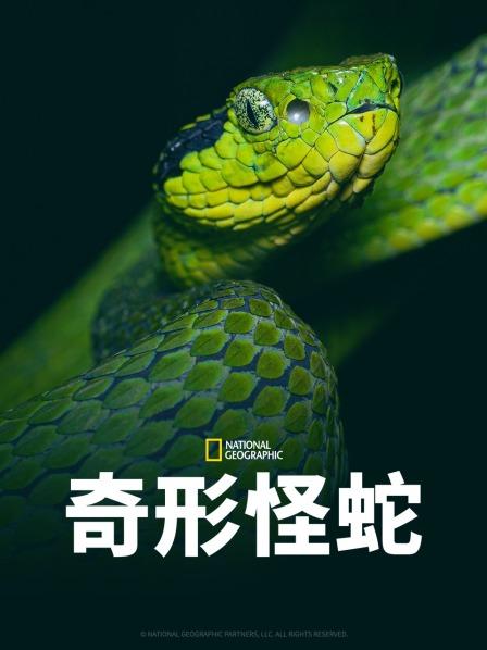 撸撸视频《奇形怪蛇》免费在线观看