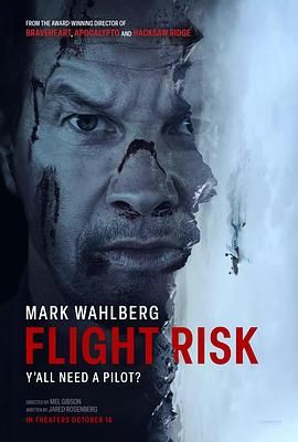 撸撸视频《插翅难飞 Flight Risk》免费在线观看